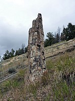 Yellowstone Tower Roosevelt (39).JPG